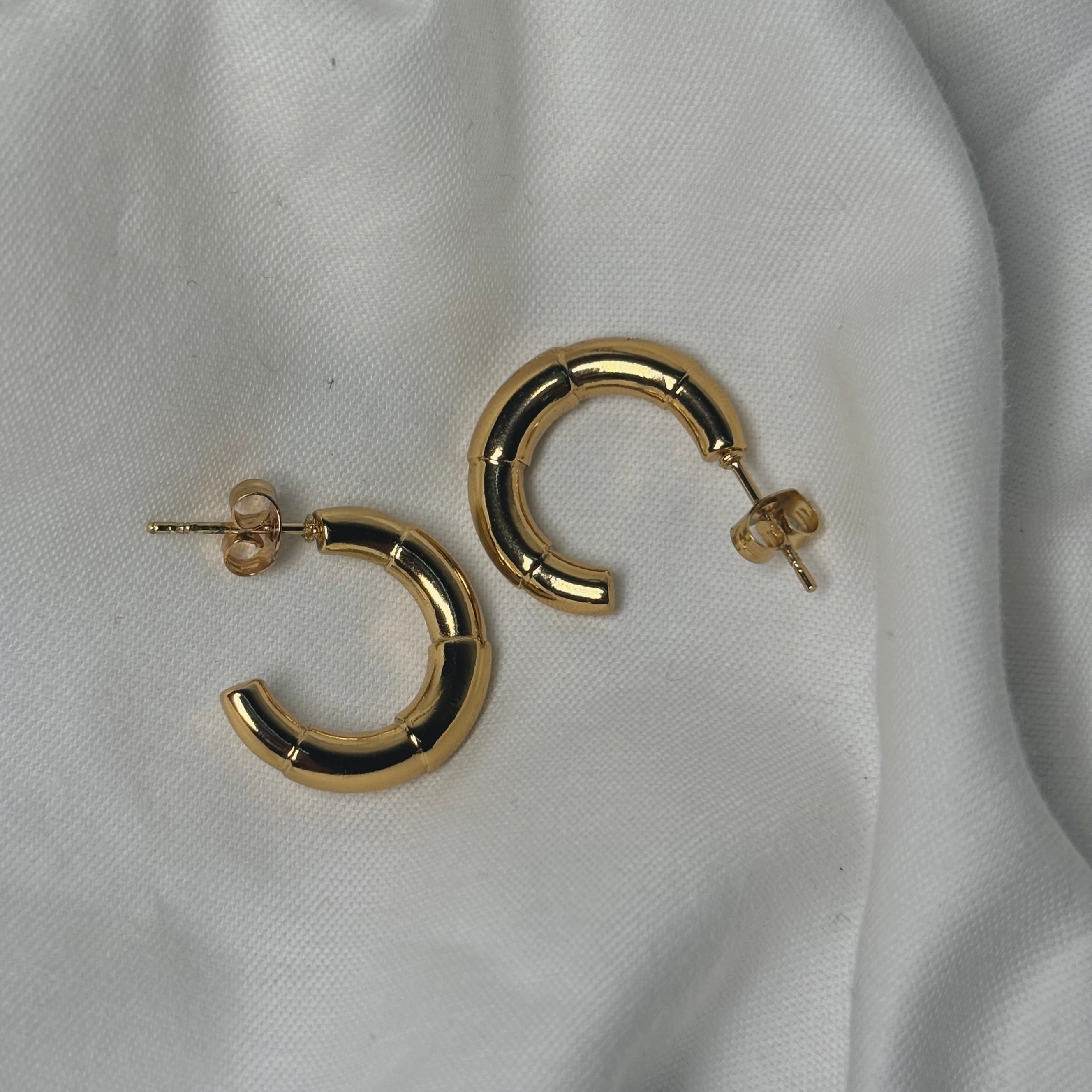 Alicia hoops